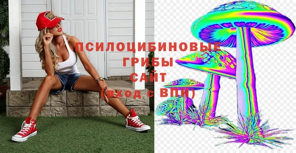 винт Абаза