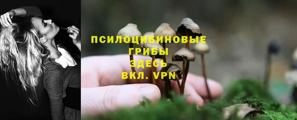 прущая мука Абинск