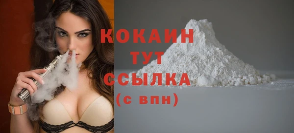 винт Абаза