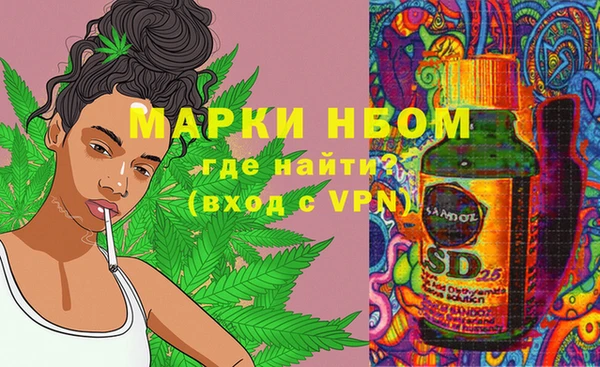 винт Абаза