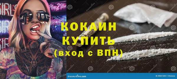 винт Абаза