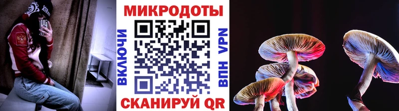 кракен зеркало  что такое   Ковдор  Галлюциногенные грибы мицелий 